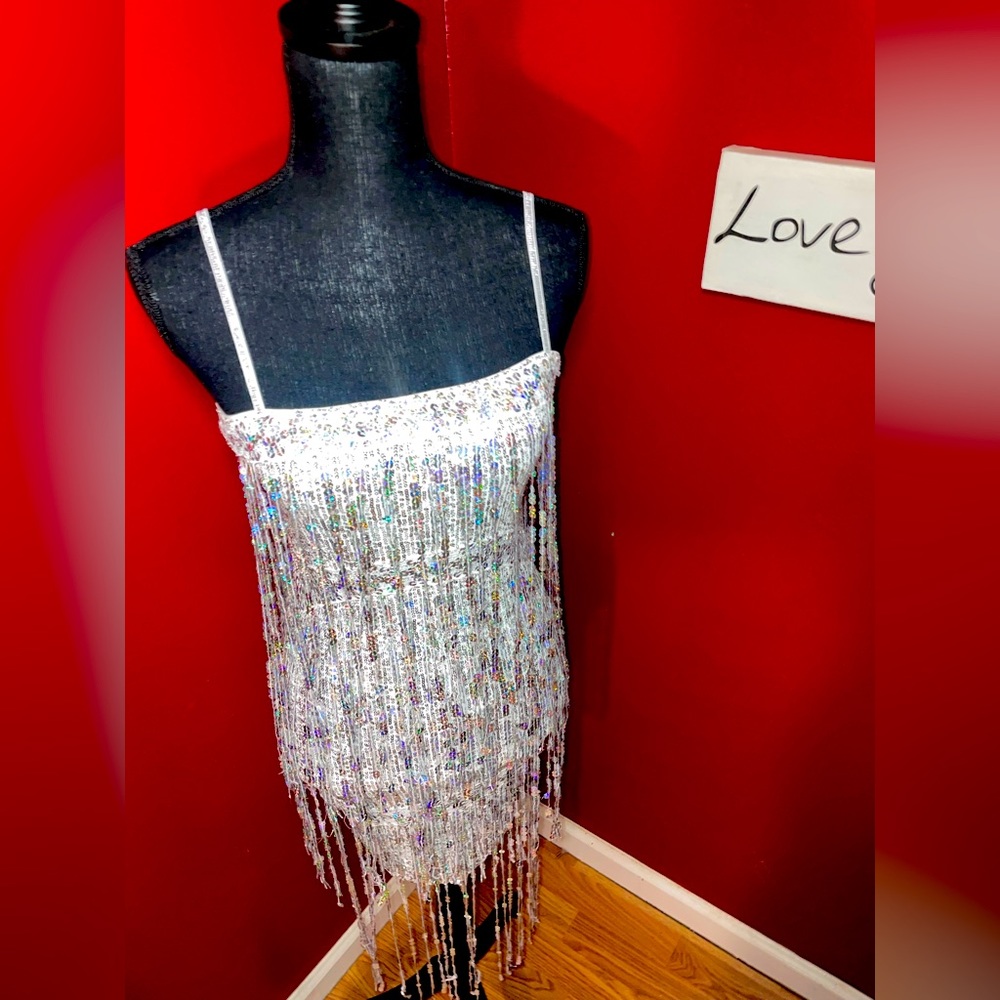 Beyonce Style Sequin Shingle dress